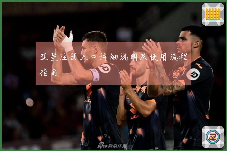 亚星注册入口详细说明及使用流程指南