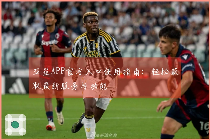 亚星APP官方入口使用指南：轻松获取最新服务与功能