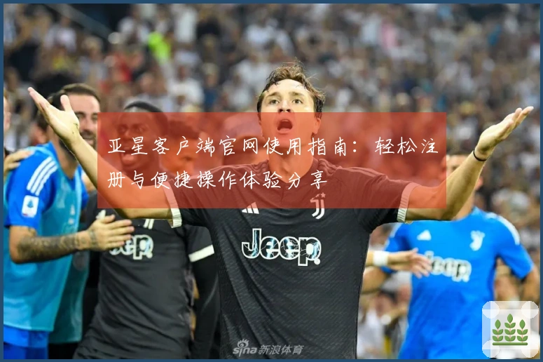 亚星客户端官网使用指南：轻松注册与便捷操作体验分享